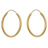 22ct Yellow Gold Oval Hoop Earrings