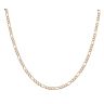 9ct Yellow Gold Figaro Chain 22"