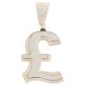 9ct Yellow Gold Cubic Zirconia Pound Sign Pendant