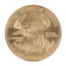 1988 1/2oz American Eagle Coin