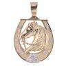 9ct Yellow Gold Horseshoe Pendant