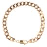 9ct Yellow Gold Curb Bracelet 8"