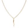 9ct Yellow Gold Horn Of Plenty Pendant and Chain 20"
