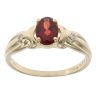 9ct Yellow Gold 0.05ct Diamond and Garnet Single Stone Ring