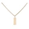 9ct Yellow Gold Ingot Pendant and Belcher Chain 18"