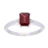 9ct White Gold Garnet and Diamond Rectangular Ring