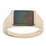 9ct Yellow Gold Korite Amoolite Signet Ring