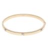 9ct Yellow and White Gold Screw Hinged Bangle