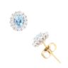 18ct Yellow Gold 0.30ct Diamond And Aquamarine Cluster Earring
