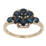 9ct Yellow Gold 0.02ct Diamond and Sapphire Cluster Ring