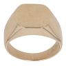 9ct Yellow Gold Plain Signet Ring