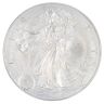 2015 1oz American Eagle 1 Dollar Coin