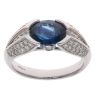 18ct White Gold 0.50ct Brilliant Cut Diamond and Sapphire Fancy Ring
