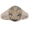 9ct Yellow Gold Welsh Feathers Signet Ring