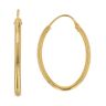22ct Yellow Gold Polished Hoop Earrings