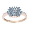 9ct Yellow Gold 0.50ct Blue Diamond Cluster Ring