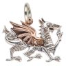 Silver and Rose Gold Welsh Dragon Clogau Pendant