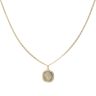 18ct Yellow Gold Lion Pendant and Chain 20"