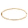 9ct Yellow Gold Hinged Bangle