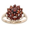 9ct Yellow Gold Garnet Cluster Ring