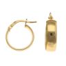 Silver Gold Plated Hoop Earrings