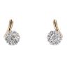 9ct Yellow Gold 0.60cts Diamond Stud Earrings by Anya Belle
