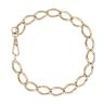 9ct Yellow Gold Albert Bracelet 9"