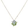 9ct Yellow Gold 0.02ct Diamond, Peridot, Aquamarine and Morganite Cluster Pendant and Chain 18"