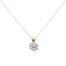 18ct Yellow Gold 1.00ct Brilliant Cut Diamond Cluster Pendant and Chain 18"