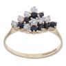 9ct Yellow Gold Cubic Zirconia and Sapphire Fancy Ring