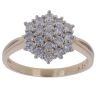 9ct Yellow Gold 1.00ct Brilliant Cut Diamond Cluster Ring