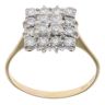 18ct Yellow Gold 1.10ct Brilliant Cut Diamond Cluster Ring