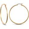 9ct Yellow Gold Polished Hoop Earrings