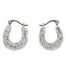 Silver Crystal Hoop Earrings