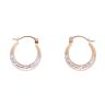 9ct Yellow And White Gold Creole Earrings