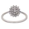 9ct White Gold 0.22ct Brilliant Cut Diamond Cluster Ring
