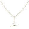 9ct Yellow Gold Albert T-Bar Chain 22"