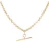 9ct Yellow Gold T-Bar Belcher Chain 22"