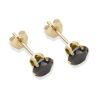 9ct Yellow Gold Black Cubic Zirconia Stud Earrings 5mm