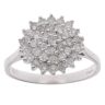 9ct White Gold 0.79ct Brilliant Cut Diamond Cluster Ring