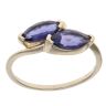 9ct Yellow Gold Lolite Two Stone Ring