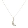 9ct Yellow Gold Rennie Mac Cresent Moon Pendant and Chain 18"