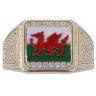 9ct Yellow Gold Cubic Zirconia Welsh Flag Signet Ring