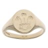 9ct Yellow Gold Welsh Feathers Signet Ring