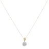 18ct Yellow and White Gold 0.40ct Brilliant Cut Diamond Cluster Pendant and Chain 18"