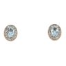 9ct Yellow Gold Aquamarine and Diamond Stud Earrings by Anya Belle