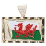 9ct Yellow Gold Cubic Zirconia Welsh Flag Pendant