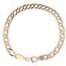 9ct Yellow Gold Double Curb Bracelet 7"