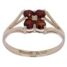 9ct Yellow Gold Garnet Cluster Ring