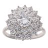 18ct White Gold 2.65ct Brilliant Cut Diamond Cluster Ring